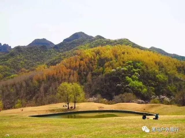 蒸馒头时，想要馒头又香又白又好吃需要加什么？游戏画面