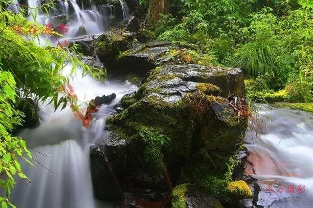 虫虫助手下载